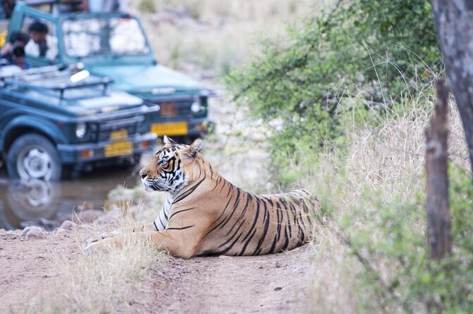 Jaipur Ranthambhore Tour