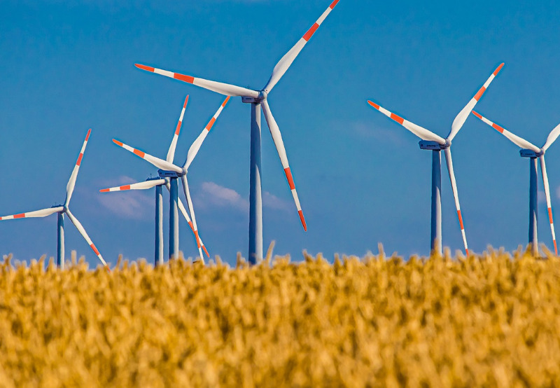 Jaisalmer Thar Desert Tour