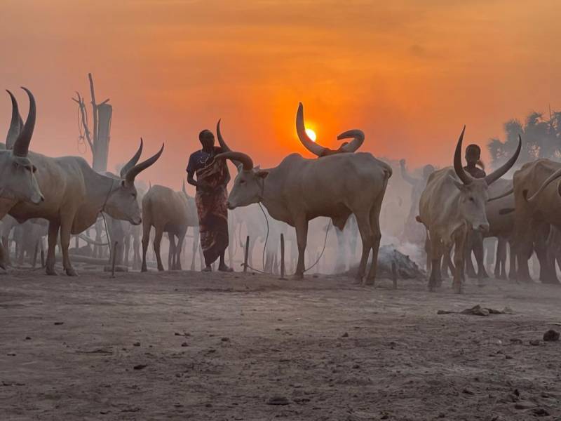 SOUTH SUDAN CULTURAL EXPEDITION  JUBA | MUNDARI | AKWAKA | LOTUKO