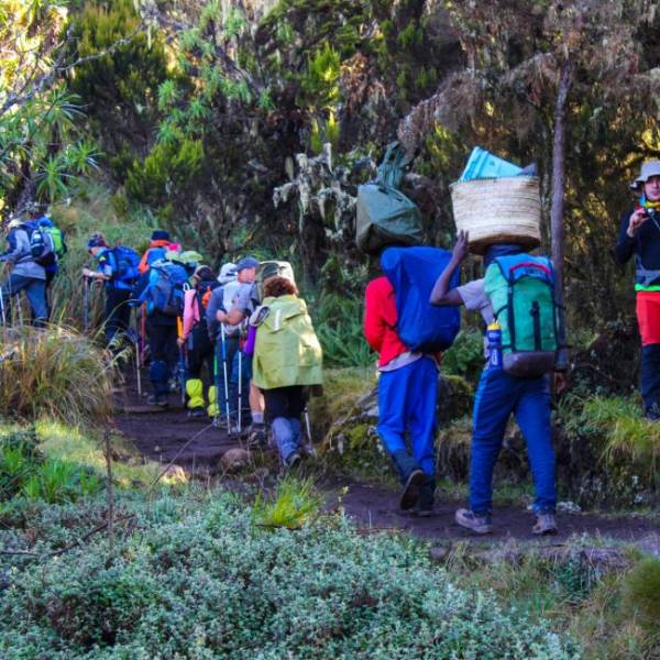 5 Days Marangu Route Kilimanjaro Climb