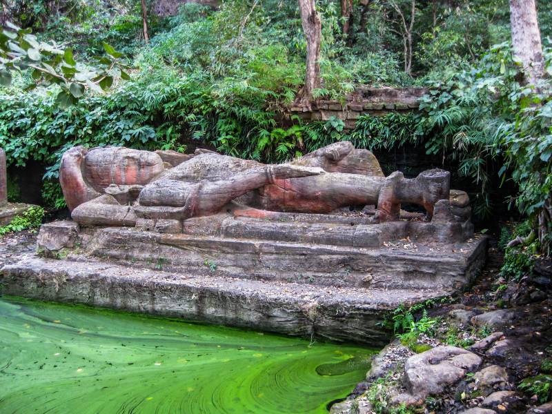 Jungle Safari Weekend : Bandhavgarh 4 Days/3 Nights