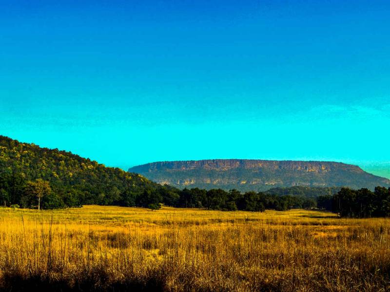 Jungle Safari Weekend : Bandhavgarh 4 Days/3 Nights