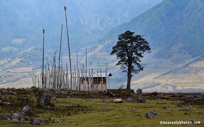 Bhutan tour package from Bagdogra