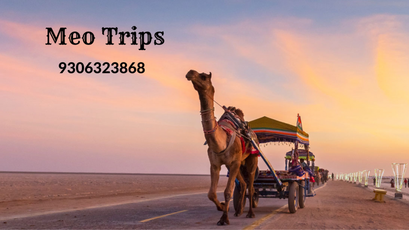 Jaisalmer Tour Package From Delhi