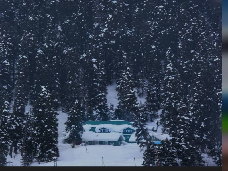 4 Nights 5 Days Kashmir Honeymoon Tour Package