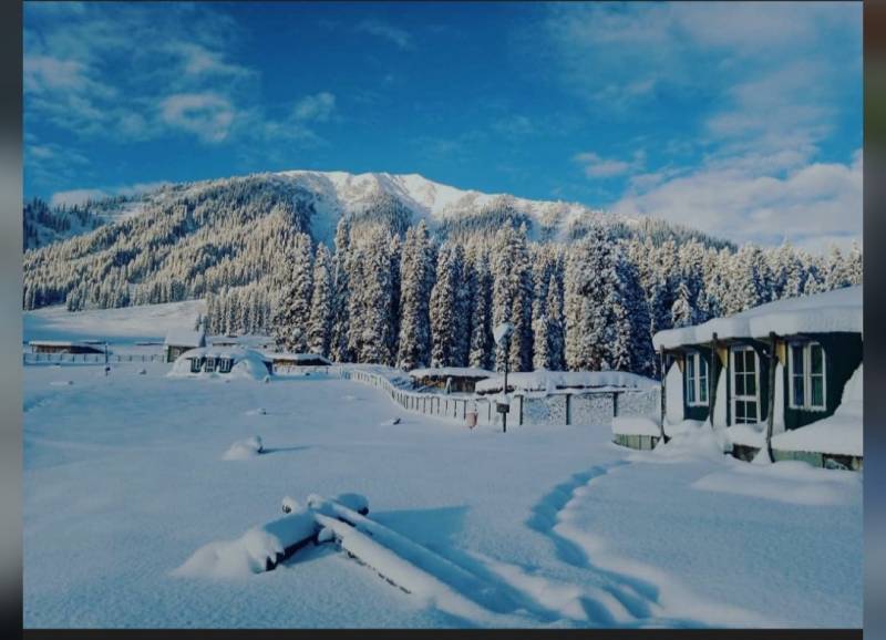 4 Nights 5 Days Kashmir Honeymoon Tour Package