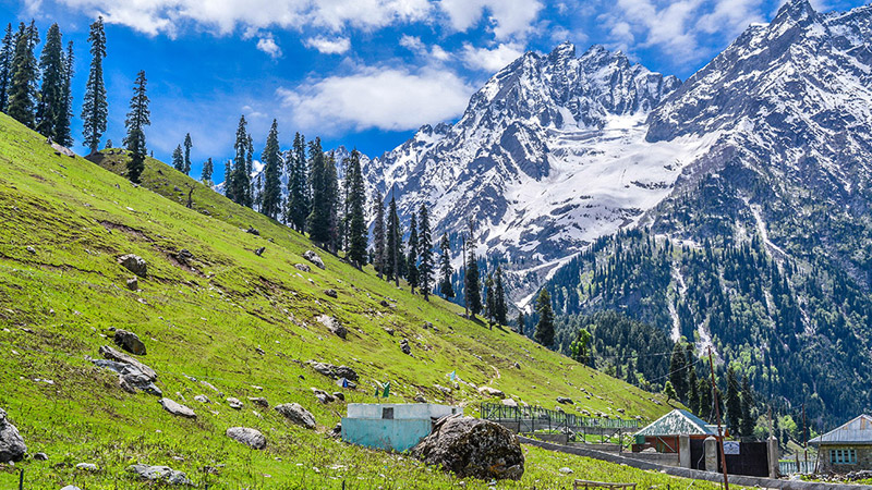 5 Nights And 6 Days Amazing Kashmir Holiday Package Cost Minimum 2 Persons