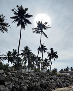 3 Nights  4 Days Goa Tour