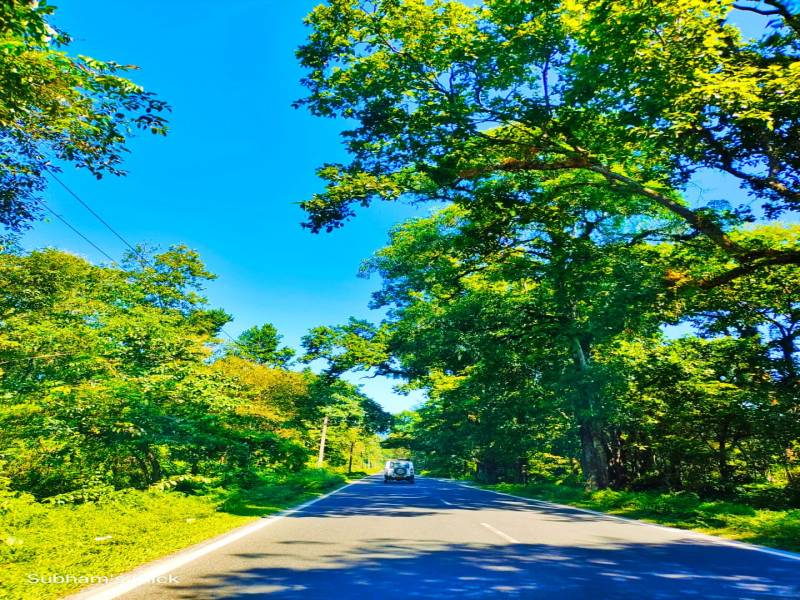 4 Night 5 Days Gangtok Lachen Lachung Tour Package