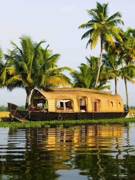 Honeymoon tour to Kerala