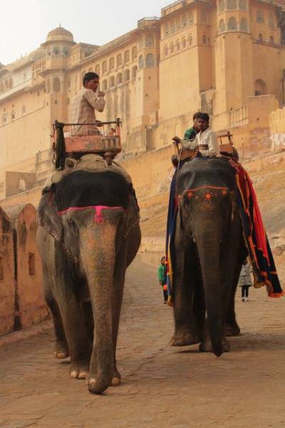 Royal Rajasthan - 5N 6D