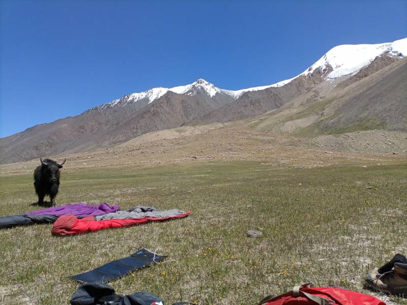 15 Days Shimshal Pass Trek & Mingliksar Peak 6050m Climbing