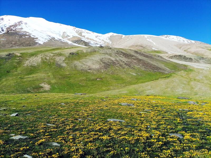 15 Days Shimshal Pass Trek & Mingliksar Peak 6050m Climbing