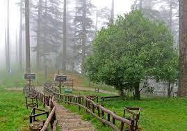 Dhanaulti Tour Package 2 Nights - 3 Days