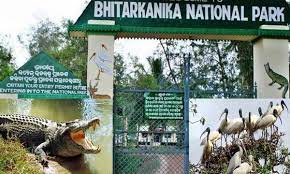 04 Nights and 05 Days Wildlife Tour Odisha