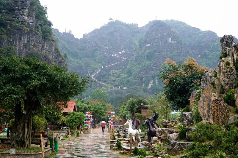 Day Tour Bai Dinh Pagoda, Trang An, Mua Cave