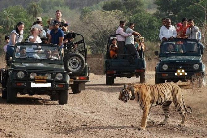 2 Days Ranthambore National Park Trip