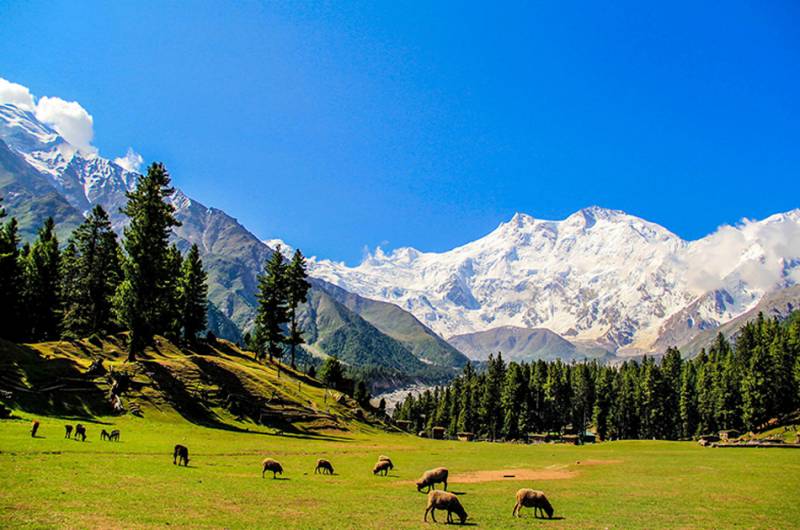 10 Days Fairy Meadows Hunza Valley