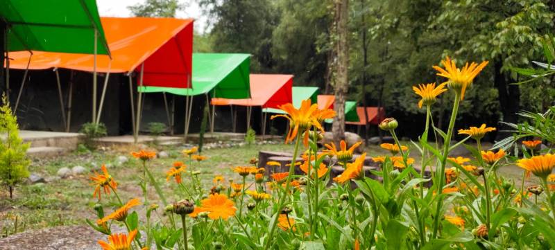 2 Nights / 3 Days Luxury Package to Manali