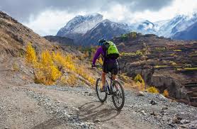 Ladakh Mountain Biking Tour - Indus Valley