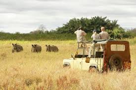 4-Day Nyerere NP Boat Safari, Game Drive, Walking Safari