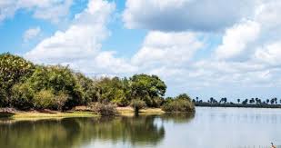 4-Day Nyerere NP Boat Safari, Game Drive, Walking Safari