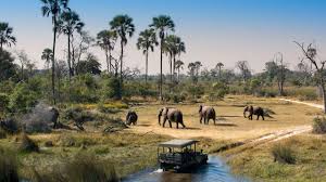 4-Day Nyerere NP Boat Safari, Game Drive, Walking Safari