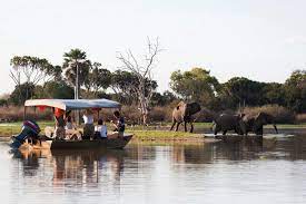 4-Day Nyerere NP Boat Safari, Game Drive, Walking Safari