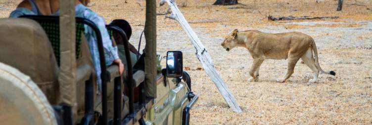 14-Day The Ultimate Safari and Zanzibar Beach Excursion