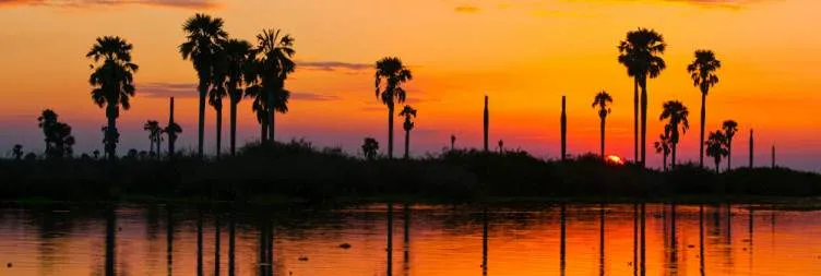 14-Day The Ultimate Safari and Zanzibar Beach Excursion