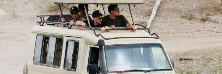 1-Day Nyerere Short and Sweet Wild Safari