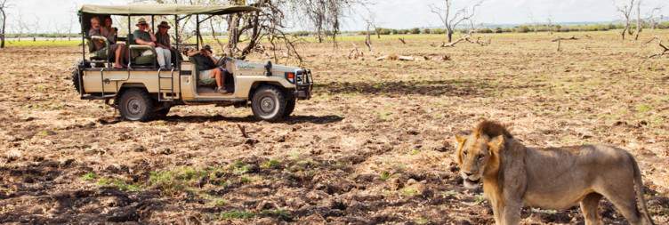 2-Day Nyerere National Park from Zanzibar