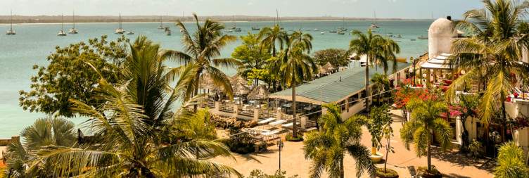 ½-Day Traditional African Drum and Dancing Workshop