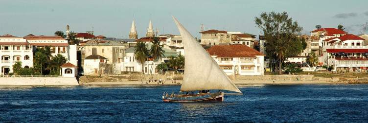 2-Day Mikumi National Park Safari from Zanzibar