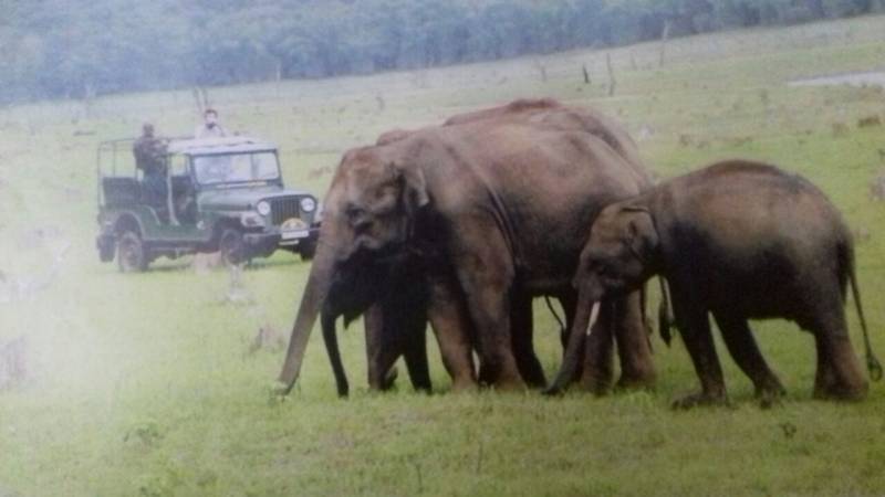 2nights/3days Dandeli Package