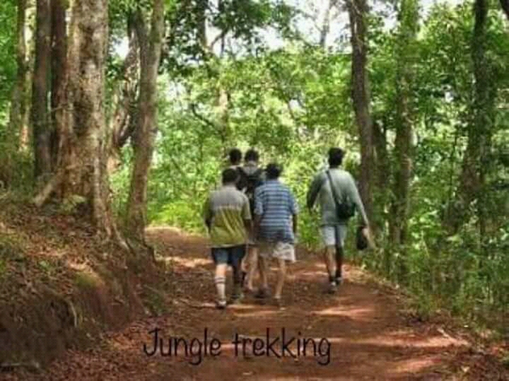 2nights/3days Dandeli Package