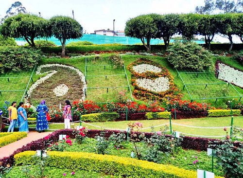 Group Package to Ooty