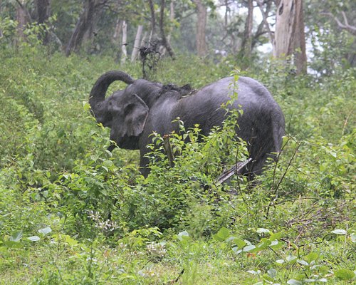 Group Package to Ooty