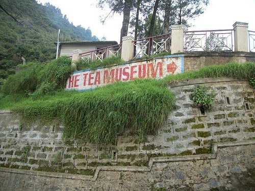 Group Package to Ooty