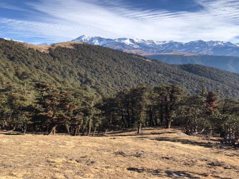 Dayara Bugyal Trek