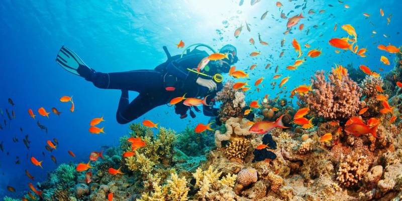 6 Night - 7 Day Andaman Package