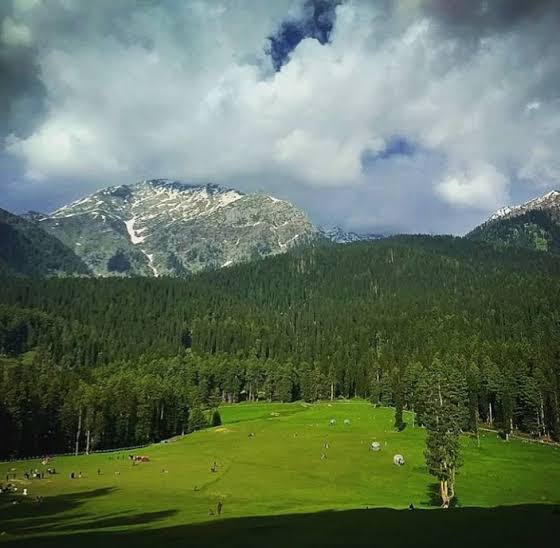 7 days and 8 Nights Tour Package for Kashmir