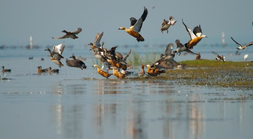 3 Nights 4 Days Odisha Tour