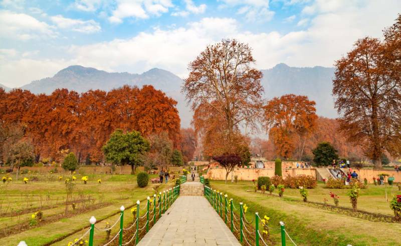 Winter special Kashmir tour