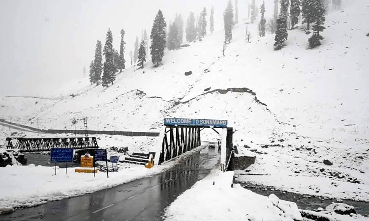 3 Nights 4 Days Kashmir Tour Package