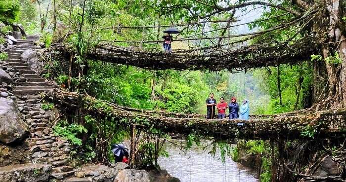 Mystic Meghalaya - Living Root Bridge Trek