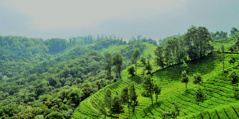 Kerala - Honeymoon Special