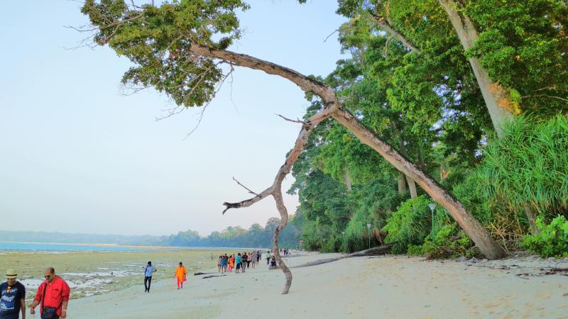 Andaman Family Tour
