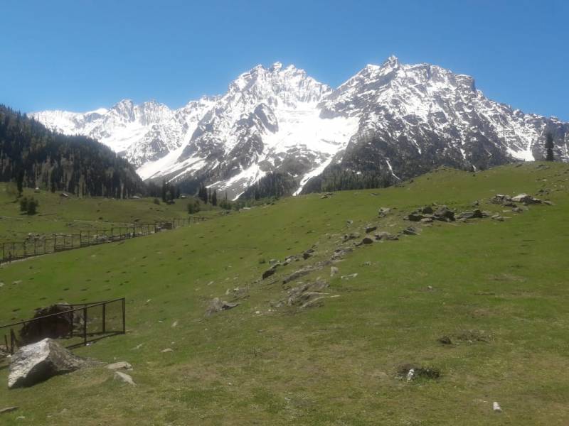 5 Nights and 6 Days Srinagar Tour