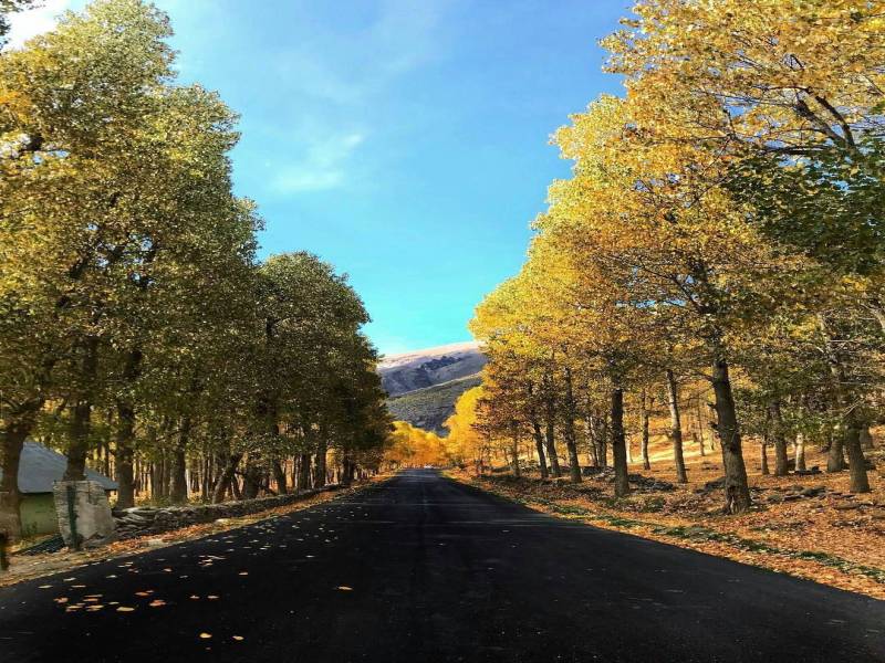 5 Night 6 Days Tour Shimla Manali Kullu Kasol Tour Packages